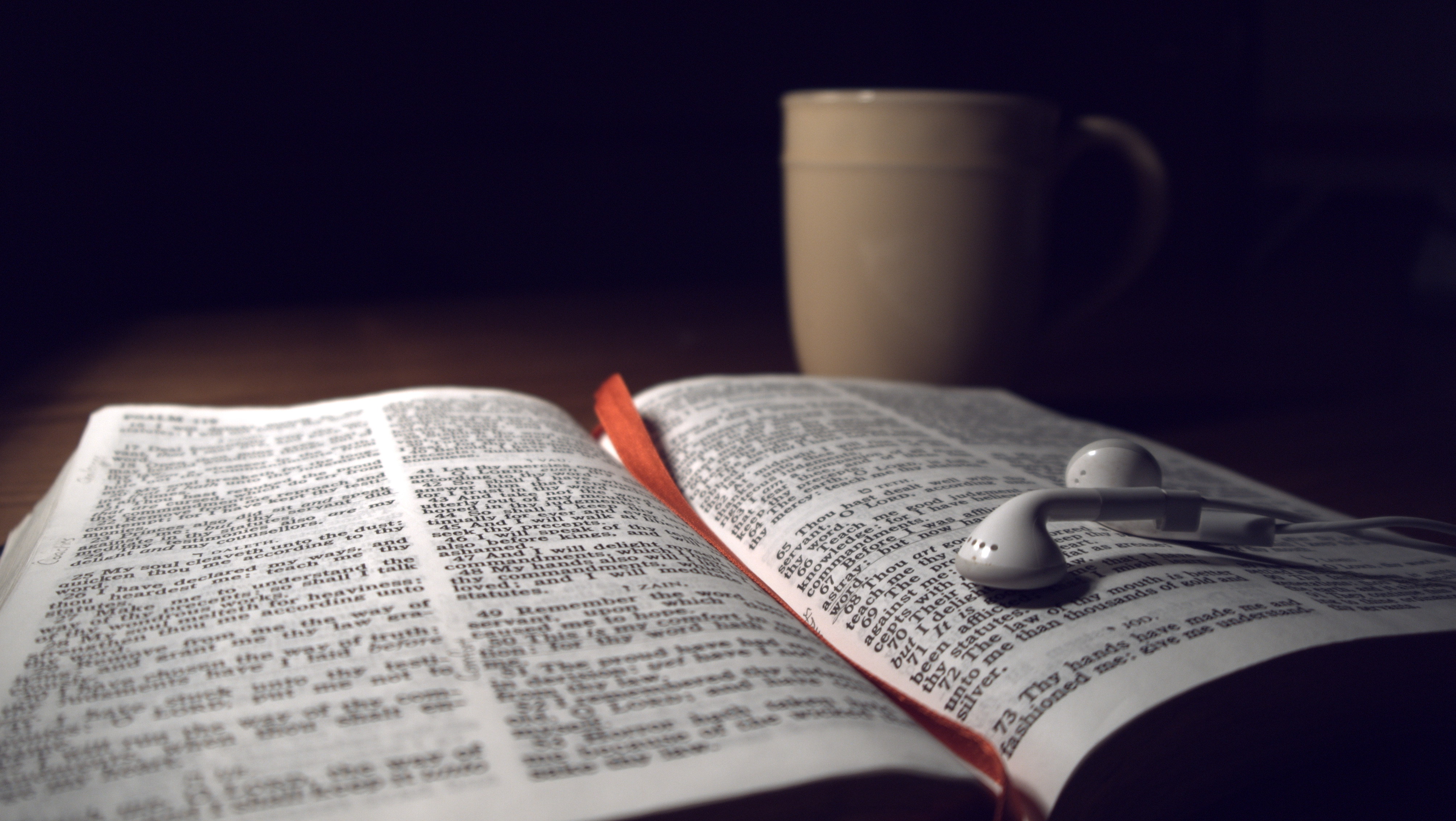 Digging Daily into God's Word